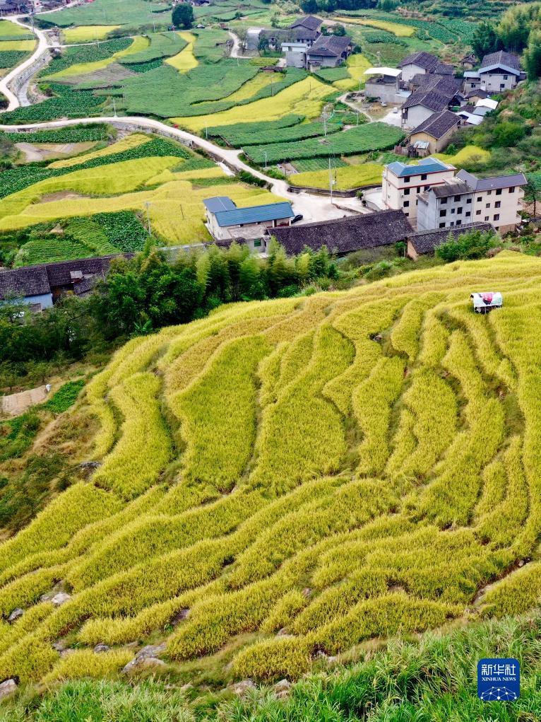 捕鱼大师无限金币